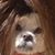 Eric Anderson's profile image