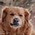Jerry Watson's profile image
