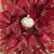 Mike Miles Gryczko's profile image