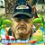Bruce Evetts's profile image