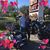 Judi Brown's profile image