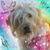 Wendy Armfield's profile image