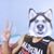 Vainillo Pa Los Cuates XD's profile image