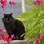 Paula O'Leary's profile image
