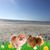 Rhonda Castillo's profile image