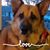 Lori DReid's profile image