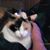 Nancy Martin's profile image