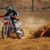 Noriega Alfonso's profile image