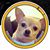 Lars Peterson's profile image