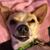 Kathleen Allen's profile image