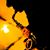 Ken Stastny's profile image