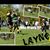 Layne Anderson's profile image