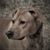 Linda Hafer's profile image