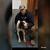 Mason Bush's profile image