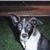 Brian Kovar's profile image