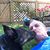 Doug Watson's profile image