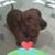 Paula Jo Motal's profile image