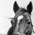 Patty Dunavant's profile image