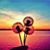 Crystal Hillman Edwards's profile image