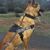 Matt Hiser's profile image