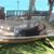 Matt Laughlin's profile image