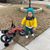 Josephine Rose Reavey's profile image