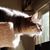 Carole Christman's profile image