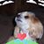 Vidal Preciado's profile image