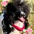 Robin Gillman Darnell's profile image