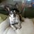 Martha Gordon's profile image