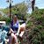 Karissa Sherman's profile image