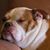 Cynthia Gilbert Lis's profile image