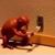 Geo Vandenburgh's profile image