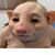 Karleen Hart's profile image