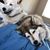 Joy Anne Fumera's profile image