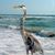 Lynn Shaffer's profile image