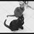 Lisa Spirko's profile image