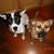Jane Julia Huberty's profile image