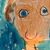 Christine Morrison's profile image