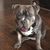 Tammy Holladay's profile image