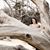 Jenny Anderson's profile image