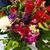 Susan Sandstrom's profile image
