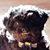 Leah Schulz Loerch's profile image