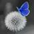 Juanita Tello's profile image