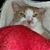 Debbie King's profile image