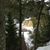 Tammy Jo Elsner Newman's profile image