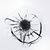 Phoenix Auto Glass's profile image