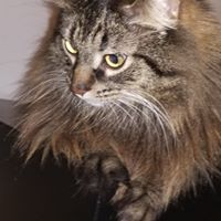 Brian Friar's profile image