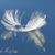 Robin Mark's profile image