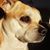 Tammy Merton's profile image